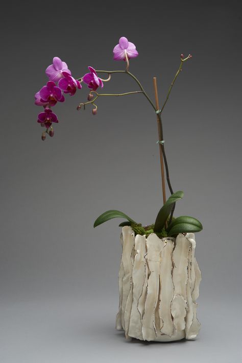 Handbuilt Ceramic Vase, Slab Vase Ceramics, Ceramic Art Pots & Planters, Clay Orchid Pots, Ceramic Flower Vase Handmade, Flower Pot Ceramic, Orchid Pots Ceramic Pottery, Decorative Ceramics, Pottery Plant Pot