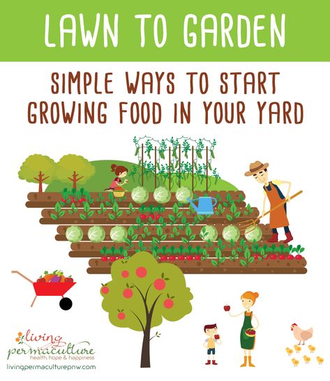 Turn your lawn into a vegetable garden. Lawn To Garden, Farm Tips, Food Growing, Grow System, Homestead Farm, Permaculture Gardening, Garden Lawn, Veggie Garden, Growing Food