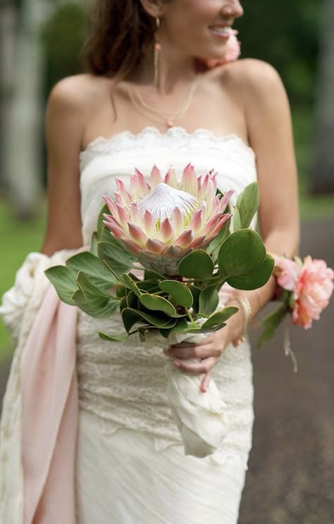 Protea Protea Bouquet Wedding, Real Wedding Flowers, Sara Donaldson, Tropical Wedding Bouquets, Protea Wedding, Protea Bouquet, Safari Wedding, Hawaii Weddings, Protea Flower