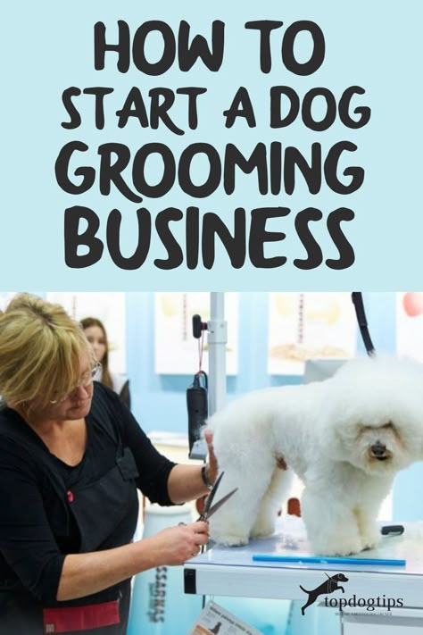 Dog Grooming Training, Dog Grooming Set Up At Home, Dog Grooming Studio Ideas, Diy Dog Grooming Salon, Pet Salon Ideas, Grooming Salon Layout Ideas, Dog Grooming Techniques, Grooming Business Ideas, Grooming Shed Ideas