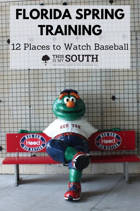 Baseball Spring Training, Spring Training Baseball, Girls Weekend Getaway, Southern Travel, Bucket List Vacations, Florida Springs, Sport Park, Wildlife Sanctuary, Usa Travel Destinations