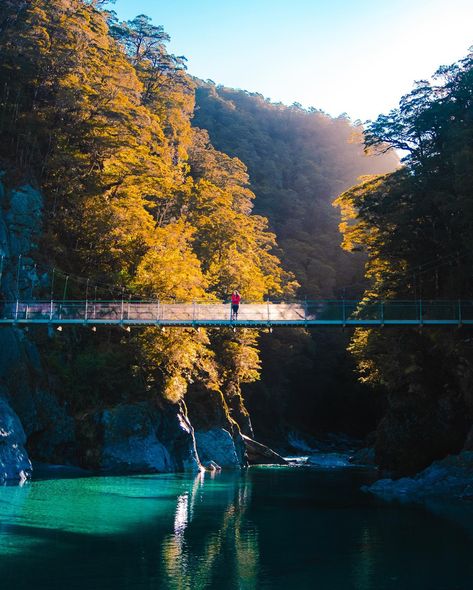 POV: My camera roll after 1 month in New Zealand 🇳🇿 Living the van life in New Zealand will forever be one of my favorite bucket list experiences 🥹 From winding mountain roads to ocean-front campsites, it’s almost as if someone designed this place with the sole purpose of road tripping in a campervan. NZ travel has been trending this year, so if you plan on going then I highly recommend renting a van to make the absolute most of your time. I have a full guide to 17+ things you need to kn... New Zealand Van Travel, Mountain Roads, Nz Travel, My Camera Roll, Travel Van, 1 Month, Van Life, Camera Roll, Adventure Travel