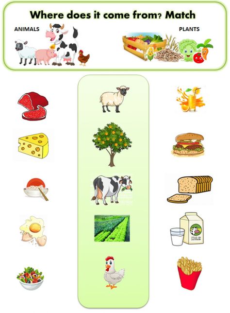 What Food Comes From Trees Preschool, Lkg Worksheets, Plants Worksheets, Shape Worksheets For Preschool, Worksheets For Class 1, Animal Worksheets, Tracing Worksheets Preschool, Worksheets Preschool, Shapes Worksheets