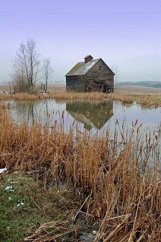 Magic Faraway Tree, Backyard Fountain, The Magic Faraway Tree, Faraway Tree, Barn Pictures, Country Barns, Barn Painting, Barns Sheds, Moving Water