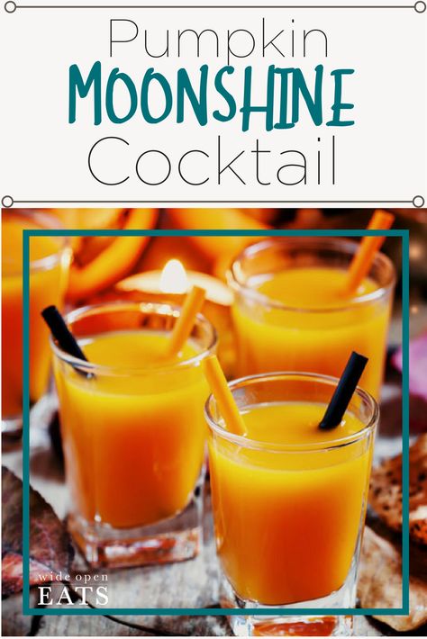 Pumpkin Moonshine Recipe, Pumpkin Moonshine, Ole Smoky Moonshine, Moonshine Cocktails, Whipped Cream Vodka, Pumpkin Spice Recipe, Pumpkin Pudding, Moonshine Recipes, Pumpkin Roll