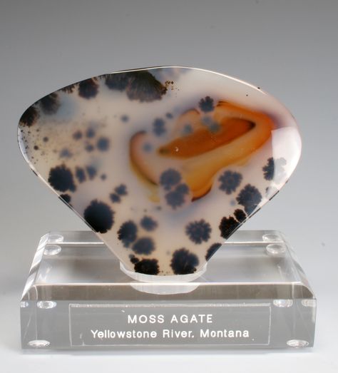 Montana Moss Agate specimen on Sunnywood Base Montana Moss Agate, Rocks Crystals, Geode Rocks, Gems Crystals, Stone World, Raw Minerals, Montana Agate, Minerals And Gemstones, Rocks And Gems