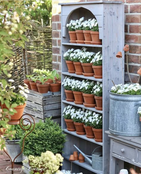 She Shed Greenhouse, Outdoor Shelf, Country Home Garden, Welcome June, Gardening Design Diy, Spring Daffodils, English Country Home, Garden Shelves, Autumn Pumpkins