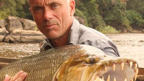 Q&A: Jeremy Wade, Host of 'River Monsters' - Men's Journal Tiger Fish, Jeremy Wade, River Monsters, Monster Fishing, Cool Fish, Fishing Pictures, Sea Monsters, Gone Fishing, Best Fishing