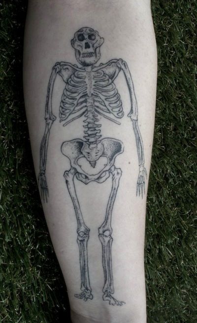 My only problem with this "Lucy" tattoo is that it is a merging of several fossils instead of just the Lucy remains. Anthropology Tattoo, Lucy Skeleton, Archaeology Tattoo, Fossil Tattoo, Lucy Tattoo, Please Find Attached, Australopithecus Afarensis, Science Tattoo, Science Tattoos