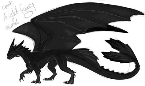 Night Fury Concept Art, Nightfury Oc, Mist Dragon, Night Fury Oc, Httyd Characters, Asoiaf Dragons, Dragon Species, Night Fury Dragon, Dragon Oc