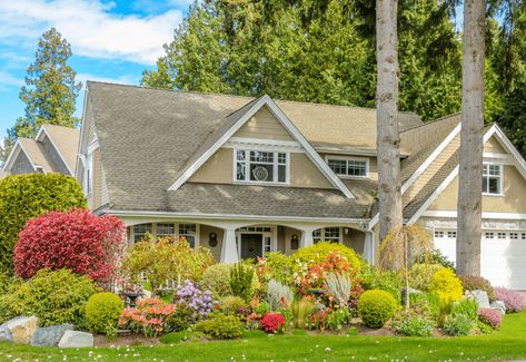 Layered Shrubs Front Yards, Foundation Planting Zone 5, Foundation Shrubs For Front Of House, Foundation Planting Plans, Foundation Planting Ideas Front Yards, Foundation Plants For Front Of House, Foundation Garden Plans, Foundation Plantings For Front Of House, Evergreen Foundation Planting