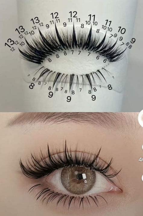 Eyelash Transplant Model, Gaun Tulle, Eyelashes Tutorial, Manga Lashes, Lashes Fake Eyelashes, Lashes Tutorial, Eyelash Tips, Eyelash Technician, Eyelash Extensions Styles