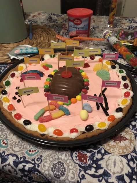 Cell Cakes Project, Edible Animal Cell Project Ideas, Animal Plant Cell Project Cakes, Cell Cake Project Ideas, Cake Cell Model, Edible Animal Cell Project, Animal Cell Lego Model, Plant Cell Cake Model, Animal Cell Model Edible