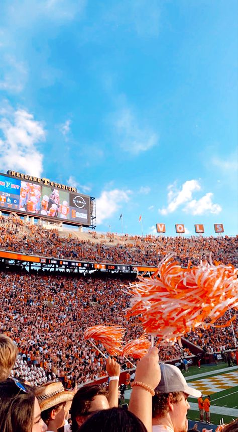 Tennessee Vols Basketball, Tennessee Football Aesthetic, Tennessee Wallpaper Iphone, University Of Tennessee Football, University Of Tennessee Aesthetic, Utk Football, Tennessee Vols Wallpaper, Tennessee Wallpaper, Tennessee Softball