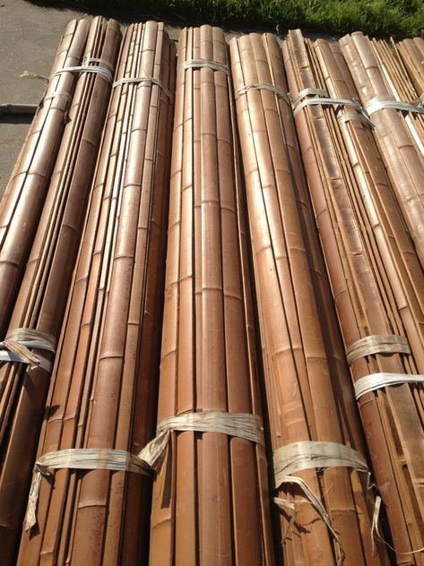 Moso Bamboo - CHI-BAMBOO Bamboo Plant, Moso Bamboo, Bamboo Poles, Bamboo Art, Eco Friendly Decor, Bamboo Plants, Wainscoting, Gazebo, Building A House