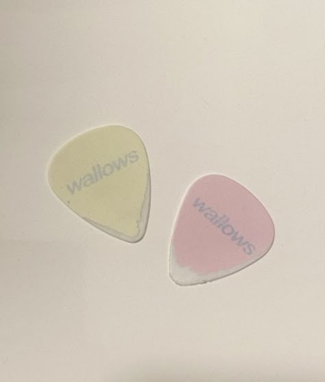 Aesthetic Guitar Picks, Wallows Band Tattoo, Guitar Picks Aesthetic, Wallows Aesthetic, Wallows Concert, Adam Banks, Ariana James, Home Screen Widget, Dylan Minnette