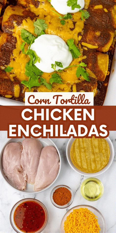 Chicken Enchiladas with Corn Tortillas - Megan vs Kitchen Chicken Enchiladas With Corn Tortillas, Corn Tortilla Enchiladas, Enchiladas With Corn Tortillas, Baked Corn Tortillas, Veg Crispy, Enchiladas Corn Tortillas, Easy Chicken Enchilada Recipe, Best Enchiladas, Easy Shredded Chicken