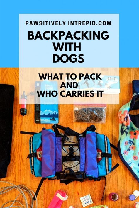 Backpacking with Dogs: what to pack and who carries it.   We share our gear list for a couple nights on the trail, including the weight of each item. Backpacking With Dogs, Backpacking List, Backpacking For Beginners, Dog Booties, Gear List, Dog Camping, Hiking Dogs, Dog Backpack, Dog Adventure