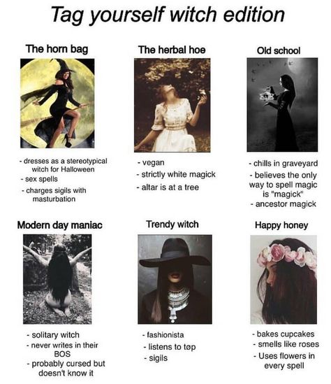 I've got a little bit of everything... What does that make me? A HAPPY OLD HERBAL MANIAC witch? Witchy Practices, Spell Witchcraft, Horn Bag, Witch School, Witch Things, Spirit Magic, Purple Witch, Pagan Spirituality, Which Witch