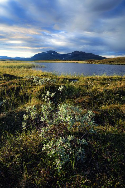 Helags Swedish Mountains, Kingdom Of Sweden, Mountain Aesthetic, Hiking Adventures, Beautiful Images Nature, Outdoor Lover, European Countries, Landscape Photographers, Best Photos