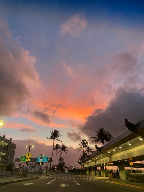 sunrise with the palm trees at an airport Hawaii Trip Aesthetic, Pics In Hawaii, Kylee Core, Sunrise Hawaii, Hawaii Airport, Pretty Skys, Airport Pics, Pretty Sunsets, Wattpad Ideas