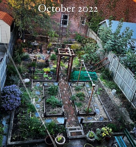 Kathy’s Urban Garden - FineGardening Cottage Courtyard, Kalmia Latifolia, Bigleaf Hydrangea, Tomato Trellis, Garden Front Yard, Native Plant Gardening, Urban Gardens, Crabapple Tree, Small Front Yard