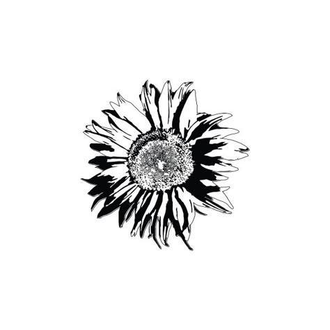 Sunflower Black And White, Tattoo Sunflower, New Beginning Tattoo, Flowers Sketch, Tiny Tats, Flash Ideas, Crystal Tattoo, Girls With Sleeve Tattoos, Sigil Tattoo