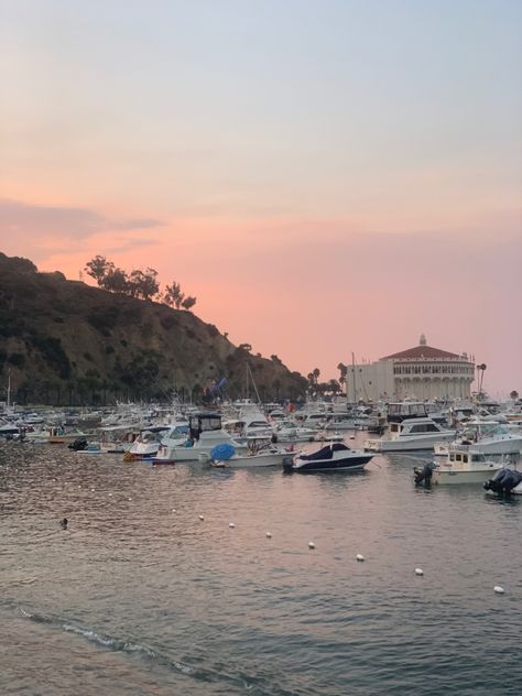 Catalina Island Aesthetic, Catalina Core, Kat Core, Sophie Lark, Concept Tattoo, Catalina Island California, October Mood, Bestie Stuff, California Pictures