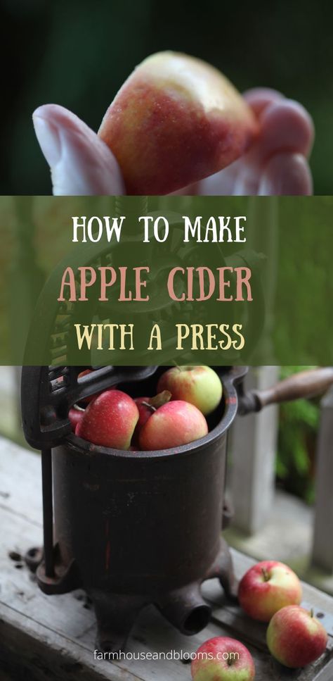 two pictures of the process of making apple cider with a press Apple Cider Press, Make Apple Cider, Making Apple Cider, Apple Press, Cider Press, Fruit Press, Fall Activity, Fun Fall Activities, Fresh Apples