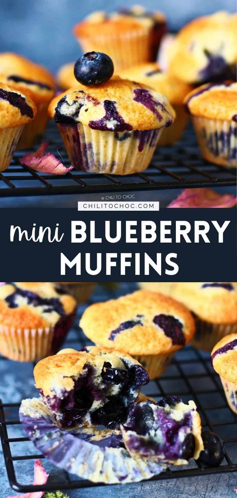 These delicious homemade mini blueberry muffins are perfect for breakfast, snack or dessert. And it’s a super easy, make-ahead recipe! Frozen Blueberry Muffins, Mini Blueberry Muffins, Breakfast Kids, Homemade Blueberry Muffins, Double Chocolate Muffins, Berry Muffins, Lemon Blueberry Muffins, Healthy Blueberry, Muffin Recipes Blueberry