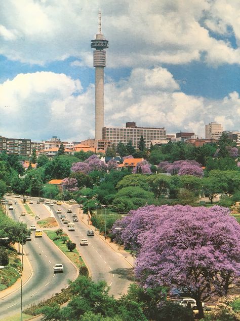 Joburg South Africa Aesthetic, Johannesburg Illustration, Johanessburg Aesthetic, Johanessburg South Africa, Johannesburg Aesthetic, Johannesburg South Africa Aesthetic, Johannesburg Skyline, South African Clothes, South Africa Johannesburg