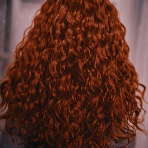 Curly Redhead Aesthetic, Curly Ginger Hair, Red Hairstyles, Red Hair Inspiration, Red Curls, Red Hair Inspo, Red Curly Hair, Ginger Hair Color, Dark Red Hair