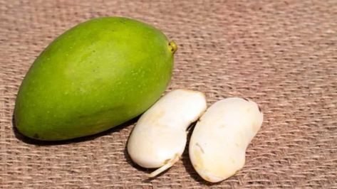 Mango season is special! But do you also throw away the mango seeds after relishing it to the fullest? If yes, you have been missing out on a lot. Mango seed is a powerhouse of nutrients, minerals and vitamins. Here are 6 benefits of mango seeds you didn’t know! Benefits Of Mango, Mango Health Benefits, Mango Benefits, Mango Seed, Main Course Dishes, Tooth Powder, Reduce Cholesterol, Improve Blood Circulation, Dental Health