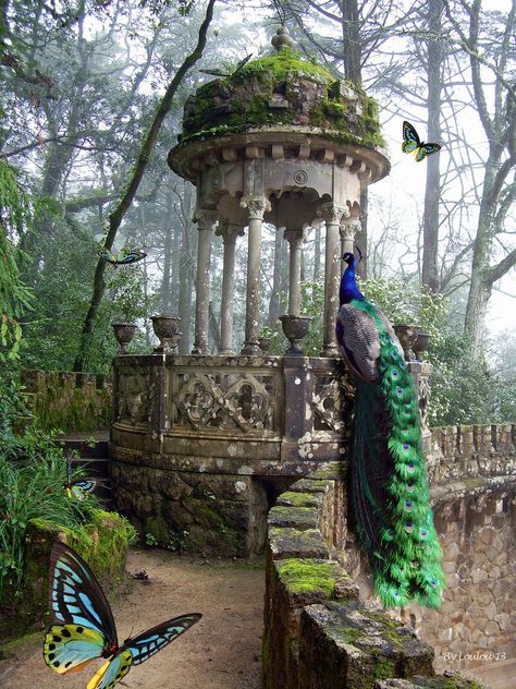 Gorgeous, I wish I could go there Whimsical Greenhouse, Abandoned House, Secret Gardens, Abandoned Mansions, The Secret Garden, Abandoned Buildings, Abandoned Houses, Peacocks, Beautiful Architecture