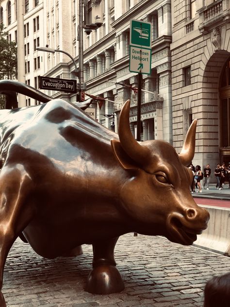 Chase your dreams!!! Wall Street Bull, Charging Bull, One World Trade Center, Grand Central Terminal, East River, Little Italy, Chase Your Dreams, Wall Street, Ig Story