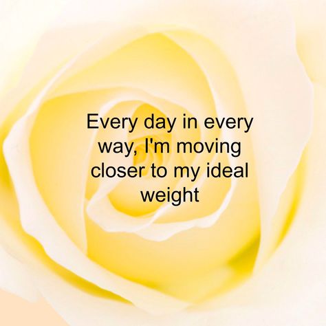 Fill your mind with these powerful affirmations for weight loss. A big collection of affirmations plus ideas to help create your own and top tips to use... Korean Diet Plan, Affirmations Positive, Money Magnet, Clean Food, Success Affirmations, Ideal Weight, Positive Affirmation, Quotes Life, How To Slim Down