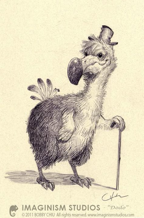 Bobby Chiu, Extinct Animals, Weird Creatures, Adventures In Wonderland, Bird Pictures, Bird Drawings, Bird Illustration, A Drawing, Art Plastique