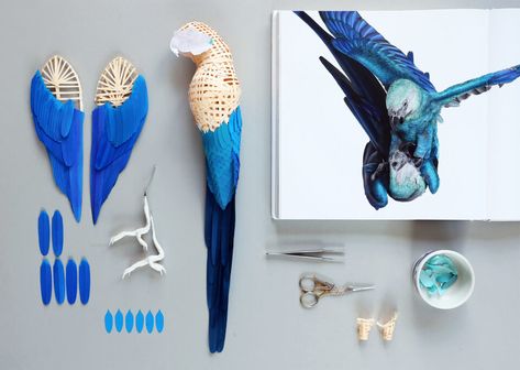 Paper Wildlife Sculptures by Artist Diana Beltrán Herrera Document Nature’s Most Striking Details | Colossal Paper Art Sculpture, Paper Birds, Paper Flowers Craft, Paper Artwork, Bird Sculpture, Exotic Birds, Paper Sculpture, Origami Paper, Flower Crafts