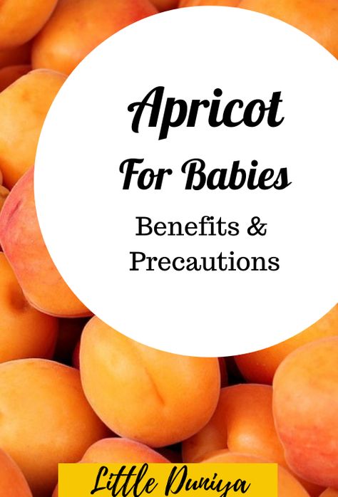 You can start giving apricots as first foods along with other fruits like banana, apple, and pears. Slowly you can increase the number of apricots in the other fruits puree when you are sure that apricots are not giving any side effects to your baby. Once you go through the pros and cons of giving apricots to your baby, you will be able to decide if you can give apricot to your baby. Always try to be vigilant towards baby food and the result will be a happy and healthy baby of yours. Apricot Puree Recipes, How To Freeze Apricots, Apricot Health Benefits, Apricot Puree, Canned Apricots, Apricot Jam From Dried Apricots, Dried Apricot Recipes, Pear Puree, Apricot Fruit