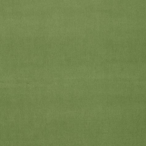 Schumacher - Gainsborough Velvet Kovi Fabrics, Schumacher Fabric, Diy Carpet, Solid Green, Weathered Wood, Wood Sizes, Craft Organization, Carpet Runner, Black Walnuts