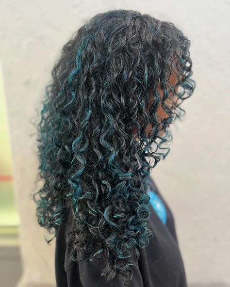 Blue curly highlights and a reshaping💙🌀 Swipe for the before—> • • • • • • • #curls #curlscurlscurls #curlyhair #curlygirls #curlystylist #curlystyling #hairstylist #hair #naturalhair #hairdye #color #dye #highlights #bouncyhair #flow #transformation #dimension #blue #bluehair Blue Streaks Curly Hair, Curly Blue Highlights, Dyed Curly Hair Blue, Dyed Curly Hair Highlights, Curly Hair With Blue Highlights, Blue Highlights Curly Hair, Curly Blue Hair, Blue Curly Hair, Dye Highlights