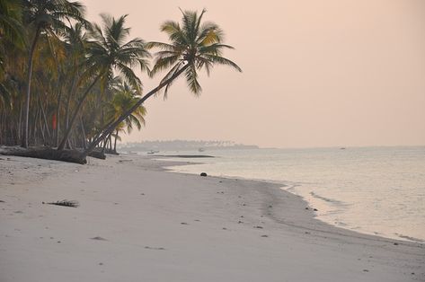 Are you looking for a tropical paradise with crystal-clear waters and pristine beaches? Lakshadweep, situated off the southwest coast of India, is a serene destination that boasts of natural beauty. Sunset Desktop Wallpaper, Lakshadweep Islands, Honeymoon Places, Wallpaper Computer, States Of India, Visit India, Home Computer, Computer Desktop, Paradise On Earth