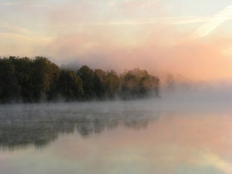 River Painting, Tennessee River, Misty Morning, Photography Contests, Island Home, Nature Aesthetic, Landscape Photos, Watercolor Landscape, Painting Projects