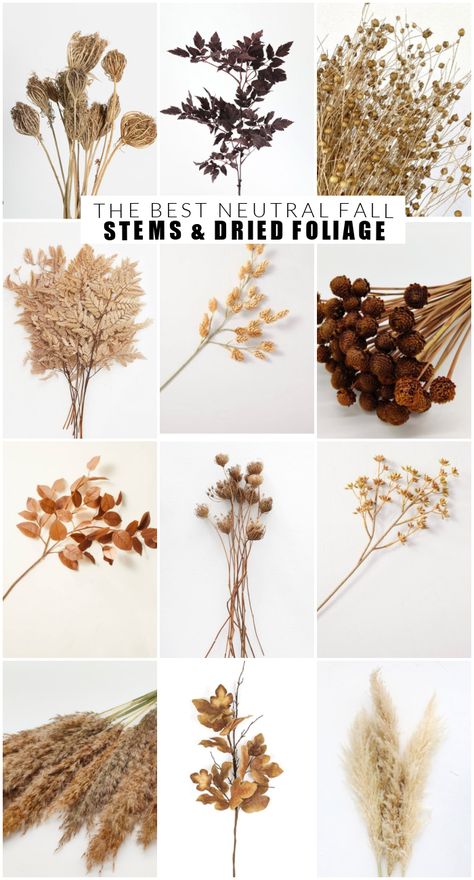 The best dried florals and neutral faux fall stems! #fallstems #fallflorals #falldecor #neutralfall #driedflorals #falldecorating #fauxfallstems Faux Dried Flowers, Fall Stem Arrangements, Neutral Fall Garland, Natural Fall Decor Ideas, Neutral Fall Florals, Fall Stems Decor, Fall Foliage Arrangements, Dried Fall Flowers, Fall Dried Floral Arrangements