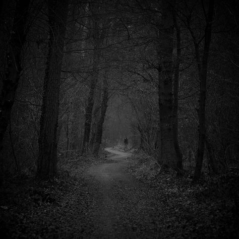 Dark Forest Path: 	He was on a narrow path with thick trees providing fairly good cover from the weather, but could prove to be dangerous in a powerful storm. Dark Landscape, Alone Photography, Forest Path, 다크 판타지, Deep Forest, Dark Places, Black N White Images, Dark Photography, White Photo