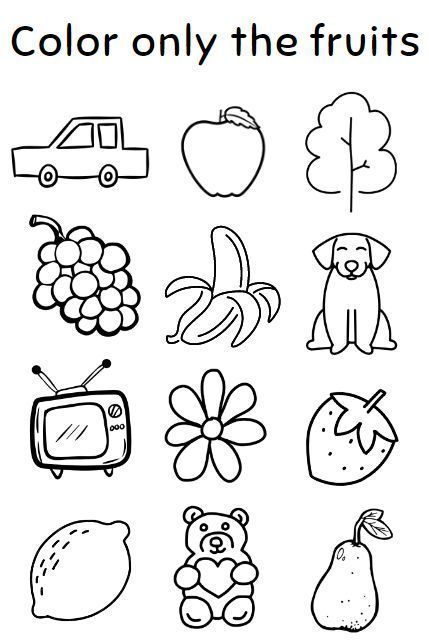 Browse over 17000+ different graphic Worksheet And Teaching Materials. Windows, Mac, Linux. Licence included with all files. #worksheet #printable #teachingmaterial Fruits Printable, Worksheets For Playgroup, Worksheet For Nursery Class, Kertas Kerja Prasekolah, Coloring Worksheets For Kindergarten, Aktiviti Tadika, Color Worksheets For Preschool, Preschool Activities Printable, Fun Worksheets For Kids