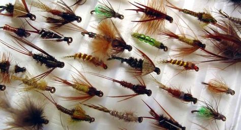 Here are the Top 5 Panfish Flies Fly Fishing Flies, How To Fish, Fish Artwork, Saltwater Flies, Visual And Performing Arts, Fishing Pictures, Free Art Print, Fishing Flies, Fishing Techniques