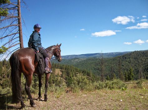 Endurance 101 - A checklist style countdown to your first endurance ride Endurance Horse, Equestrian Helmets, Equestrian Helmet, Types Of Horses, English Riding, Equestrian Sports, Horse Blankets, Barrel Racing, Horse Training