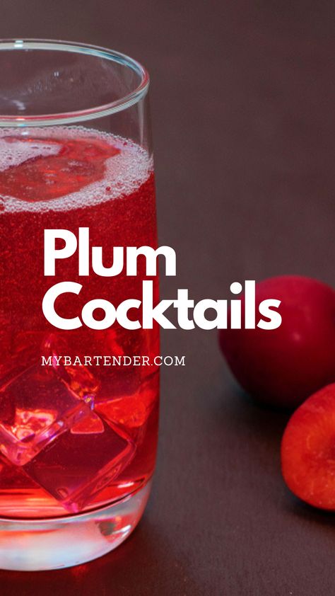 Plum Cocktails Plum Alcohol Recipes, Plum Liqueur Cocktail, Plum Simple Syrup, Plum Wine Cocktail, Plum Sake Cocktail, Plum Brandy Cocktails, Plum Vodka Cocktails, Plum Brandy Recipe, Plum Drink Recipe