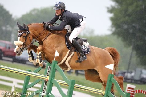 Show Jumping Course Design, 5 Jump Horse Course, Jumping Courses Horse, Horses Jumping Photography, Grand Prix Show Jumping, Spring Horse, Hunter Jumper Horses, Show Jumping Horses, Grand Prix Horse Show Jumping